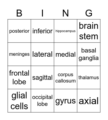PSYC 1021 Brain Bingo Card