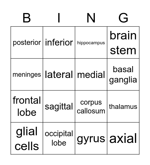 PSYC 1021 Brain Bingo Card