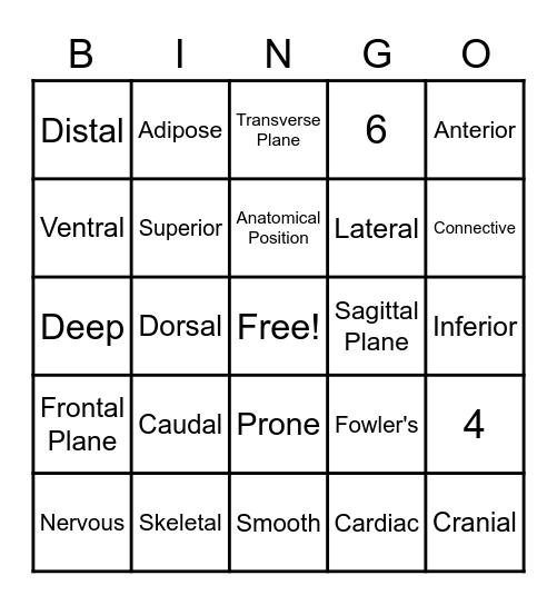 Structural Organization Bingo Card