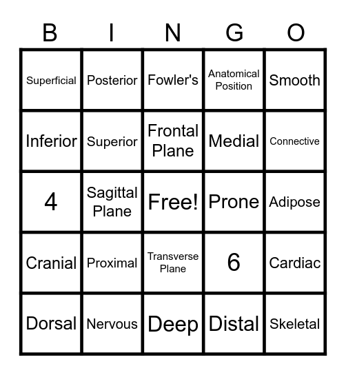 Structural Organization Bingo Card