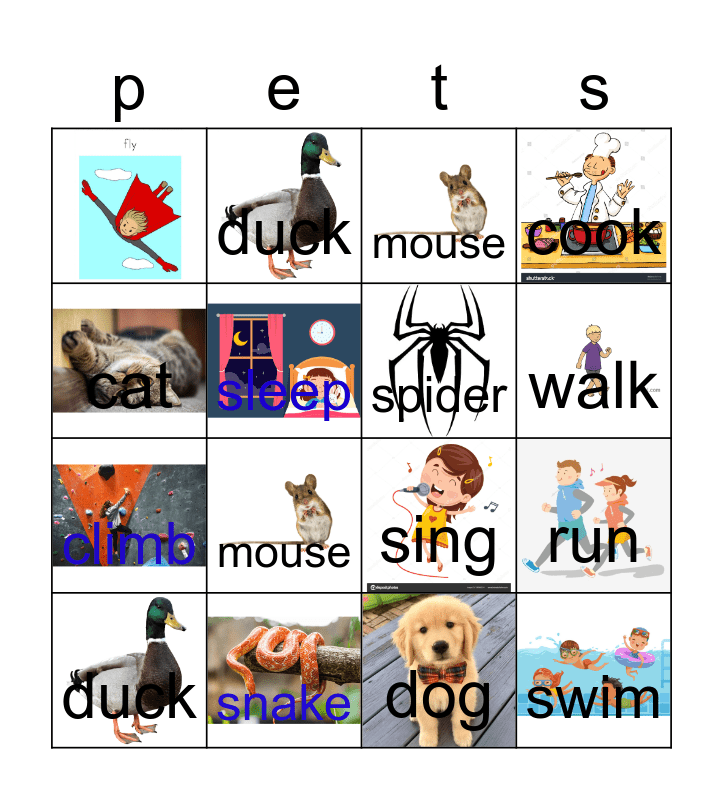 pets & verbs Bingo Card