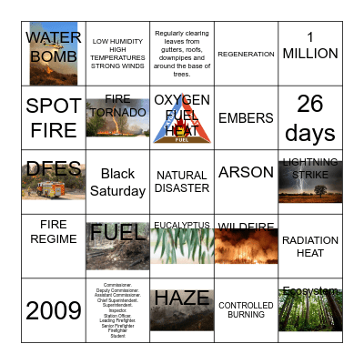 BUSHFIRES Bingo Card