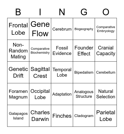 Evolution Bingo Card