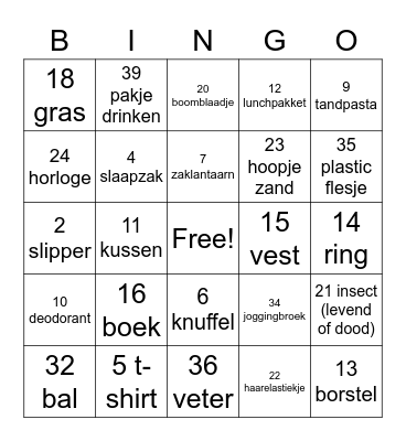 Schoolkamp Bingo Card