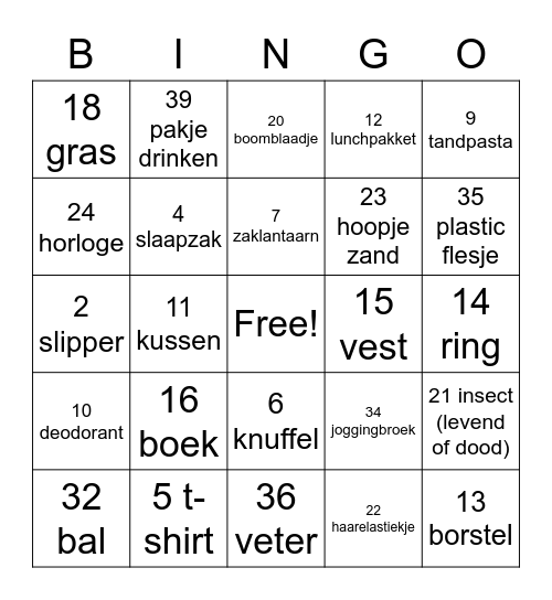 Schoolkamp Bingo Card
