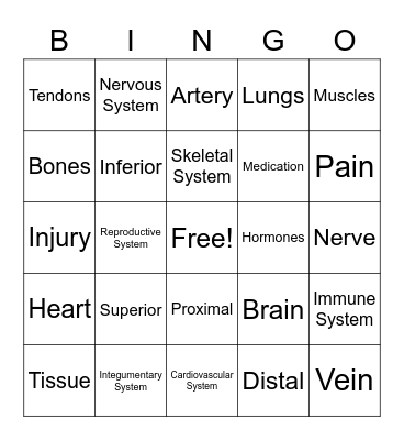 Anatomy Bingo Card
