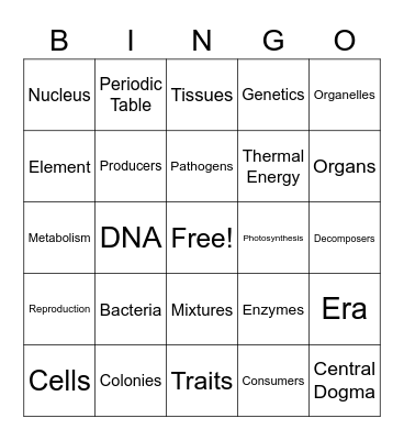 7th Bingo Card