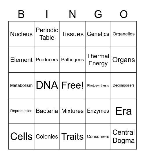 7th Bingo Card