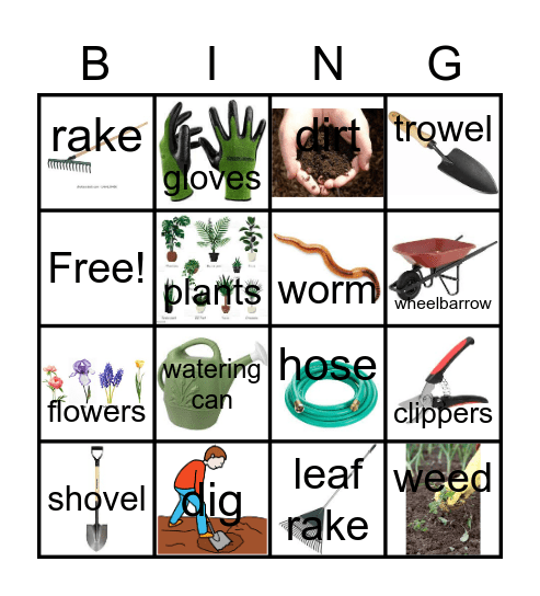 Garden words Bingo Card