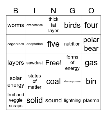 Third Grade Science Concepts Bingo Card