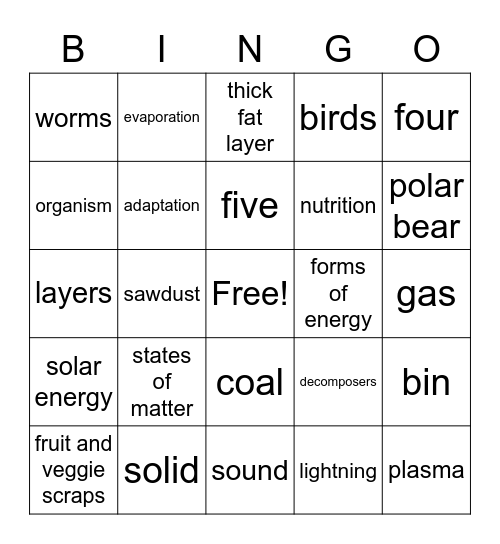 Third Grade Science Concepts Bingo Card