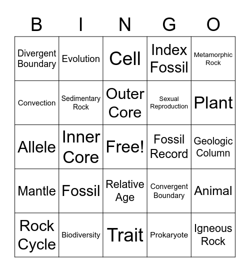 Unit 5 + 6 Vocabulary Bingo Card