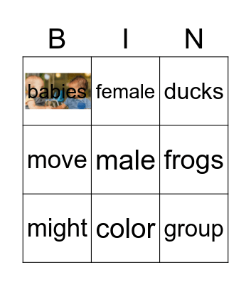GR2 Animals Fins & Stripes Bingo Card