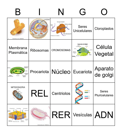 La Célula Bingo Card