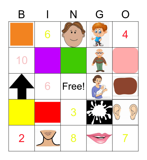 Barve/Števike/Družina/Telo Bingo Card