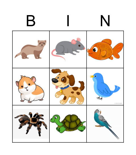 PETS Bingo Card