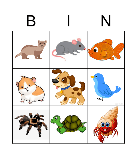 PETS Bingo Card