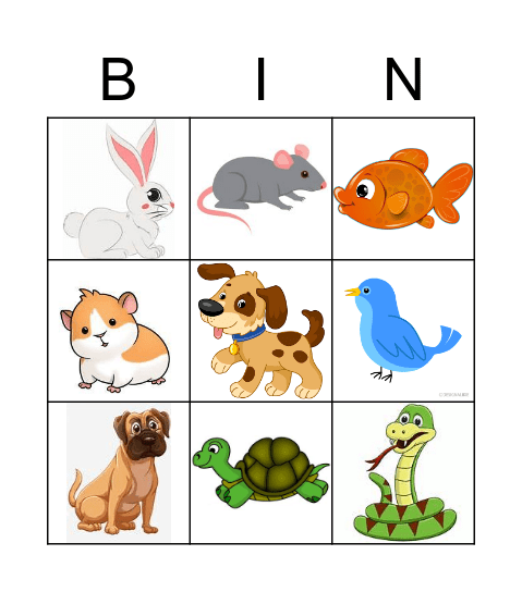 PETS Bingo Card