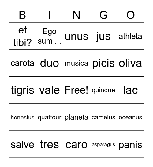 WLE Latin Review (MCAS) Bingo Card