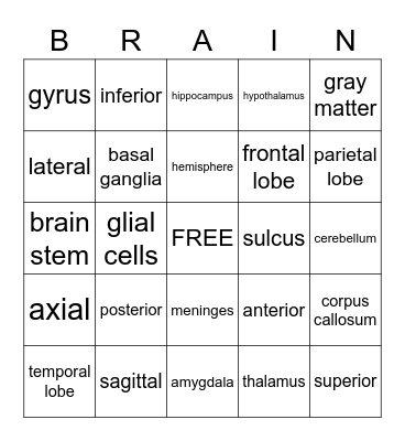 PSYC 1021 Brain Bingo Card