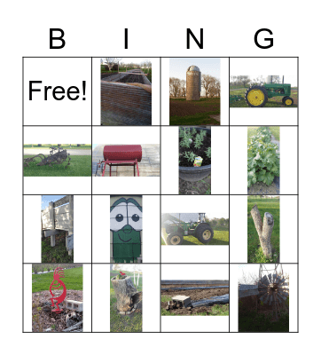 Getting to know the farm Bingo Card