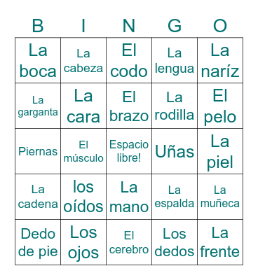 Partes del cuerpo Bingo Card
