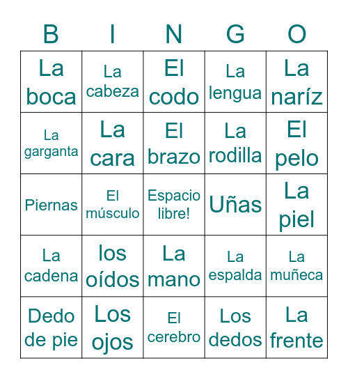 Partes del cuerpo Bingo Card