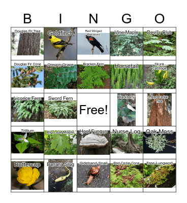 Whatcom County Nature Hike Bingo Card