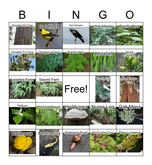 Whatcom County Nature Hike Bingo Card