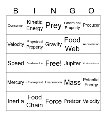 Bingo Board Bingo Card