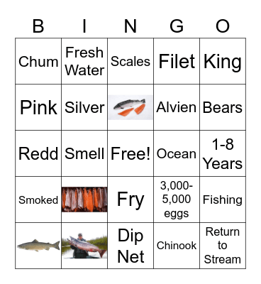 Salmon Bingo Card
