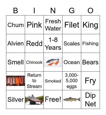 Salmon Bingo Card