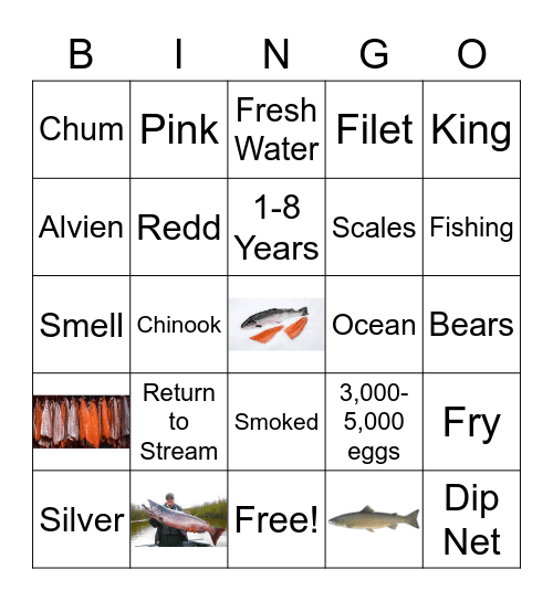 Salmon Bingo Card