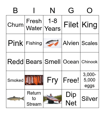 Salmon Bingo Card