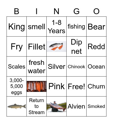 Salmon Bingo Card