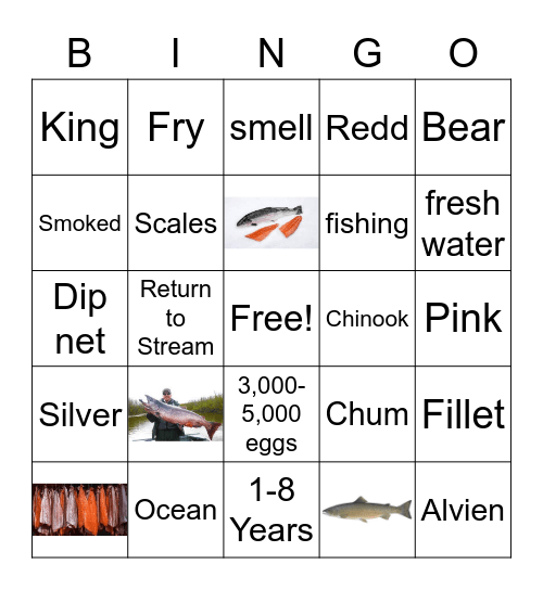 Salmon Bingo Card