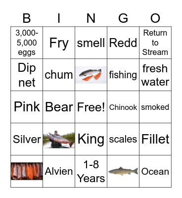 Salmon Bingo Card
