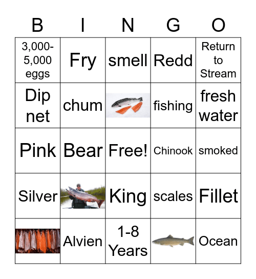 Salmon Bingo Card