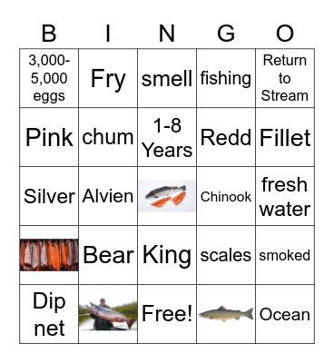 Salmon Bingo Card