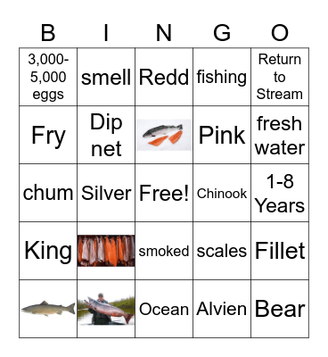Salmon Bingo Card