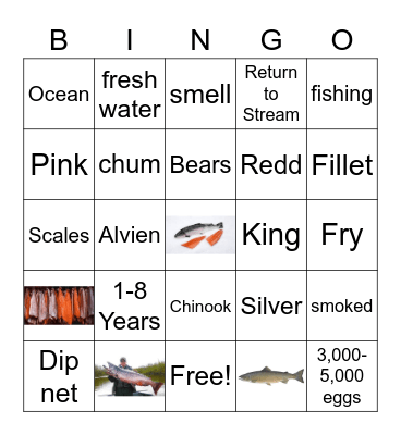 Salmon Bingo Card