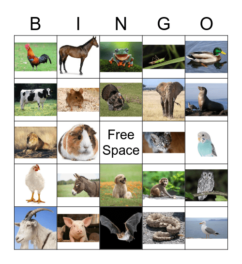 Animal Bingo Card