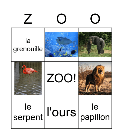 ZOO Bingo Card