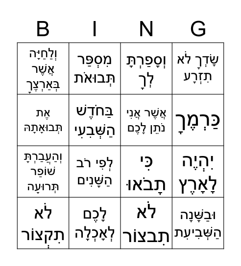 בהר Bingo Card