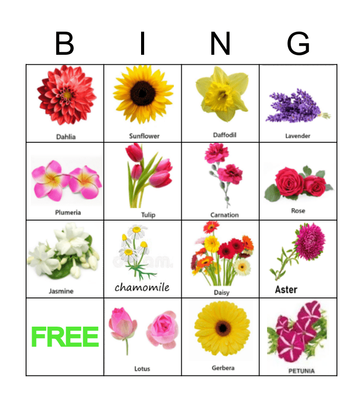 FLOWERS Bingo Card