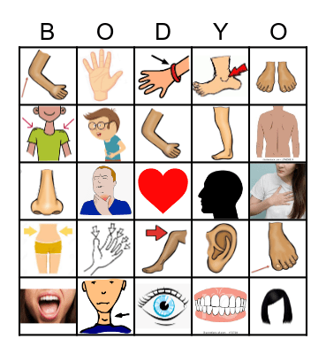 Partes de el Cuerpo Bingo Card