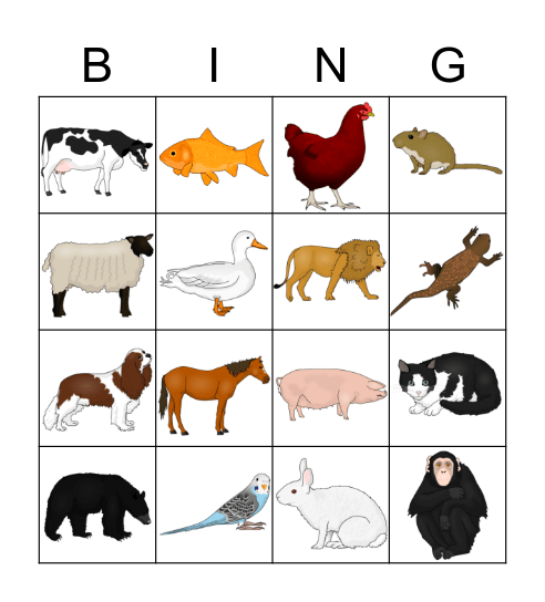 Animals! Bingo Card