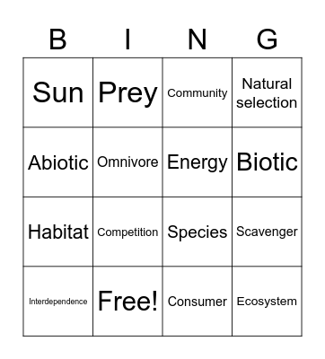 Ecology Bingo Card