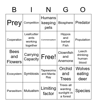 Ecosystem Relationship Bingo Card