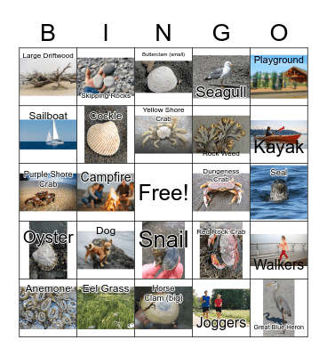 Birch Bay Walk Bingo Card